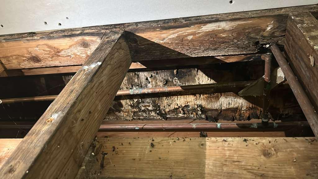 Deteriorated wood structure